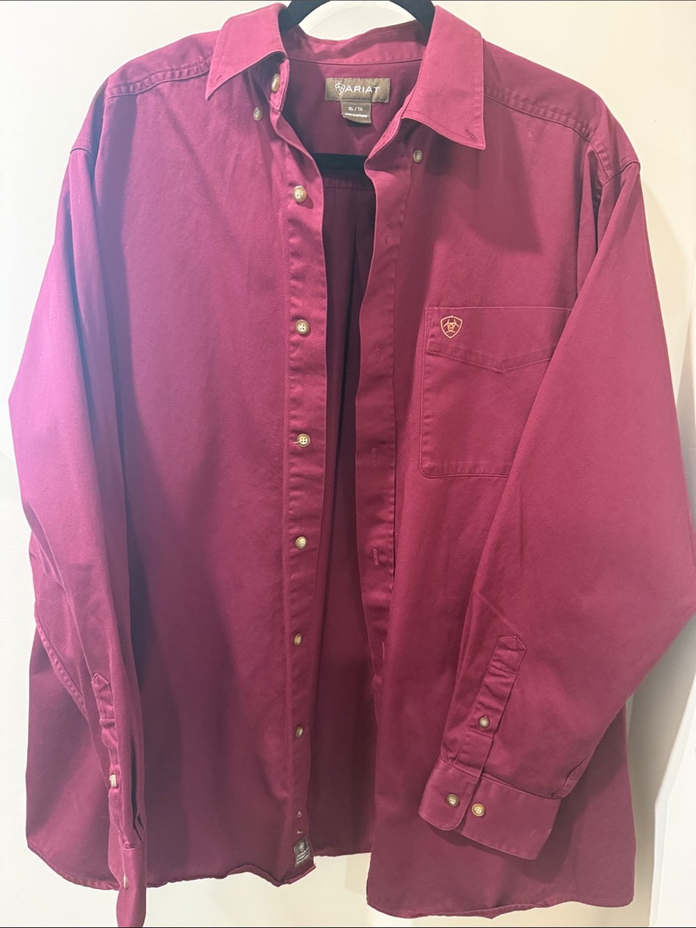 Ariat Men's Button-Down Shirt in Berry Plum